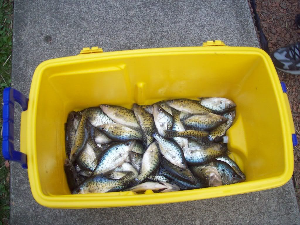 lake logan crappie Picture002-2