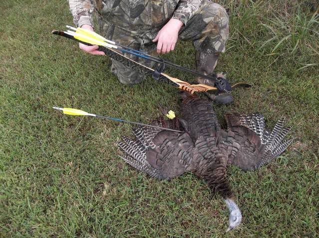 First Turkey with a bow and did it with a Recurve!! FirstTurkeyWithABowBradfordRecurve003