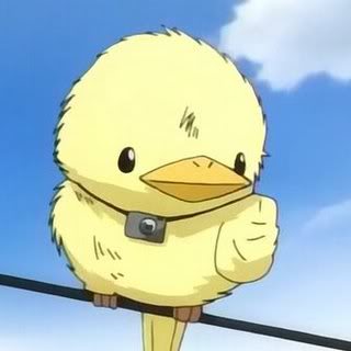 Hibari Kyouya Hibird