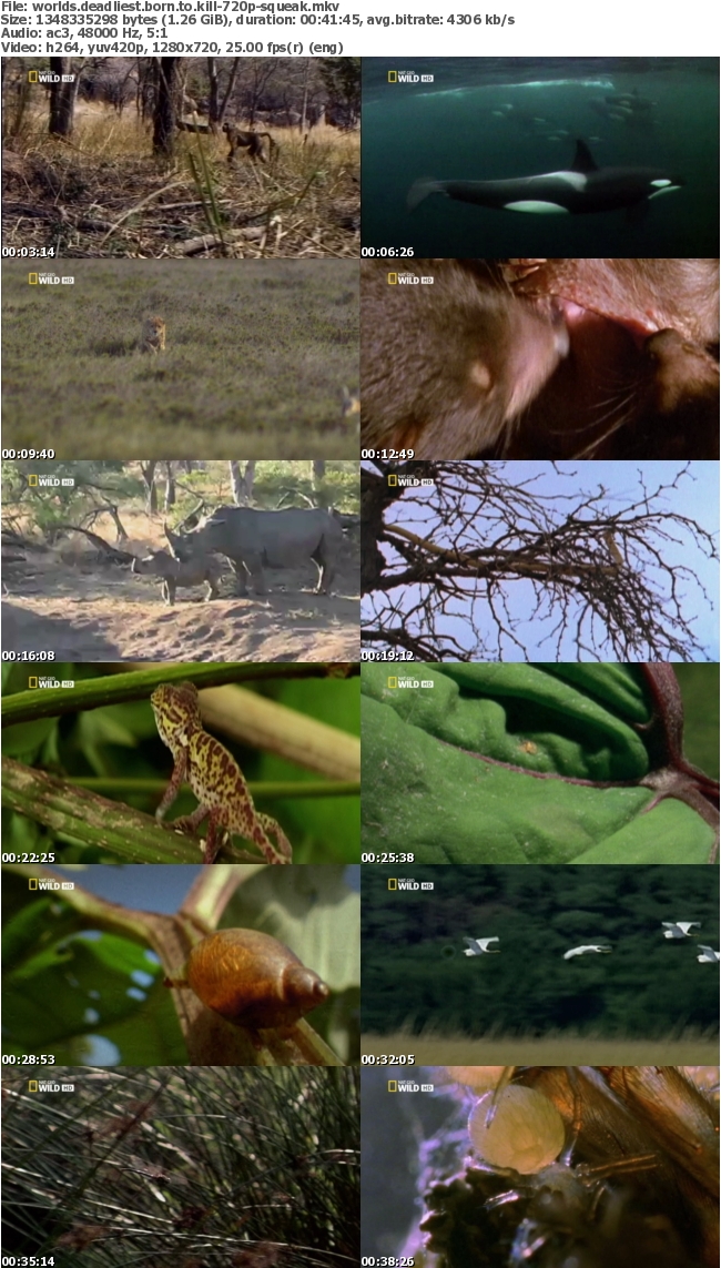 Worlds Deadliest Born To Kill 720p HDTV x264-SQUEAK 44966edc433712b92751bc168701c787