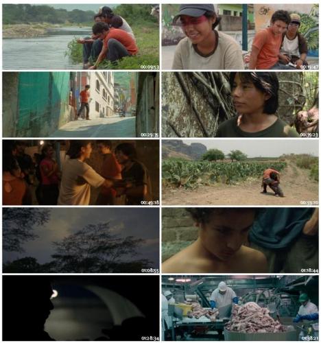 The Golden Dream 2013 BDRip x264-PHOBOS 9e360df669fef883954bbd8cb154657f