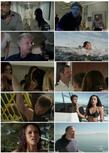 3-Headed Shark Attack 2015 HDRip XviD AC3-EVO 05c244e57b603f3bc57ef7eb63c7fe0e