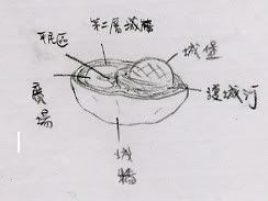 別懷疑，他是細胞剖面圖 E7B4B0E8839EE59F8EE5A0A1