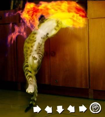 Teh LOLCATS thread Shoryuken_cat