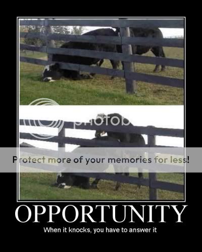 MOTIVATIONAL POSTERS Opportunity