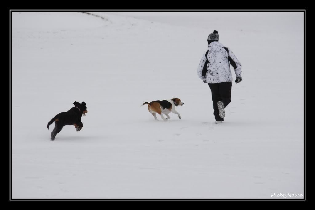 Première sortie dans la neige cette année  _MG_9252_GF_1024x682