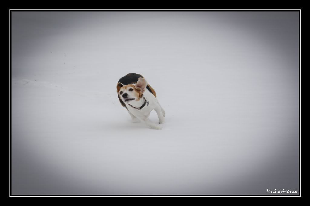 Première sortie dans la neige cette année  _MG_9263_GF_1024x682