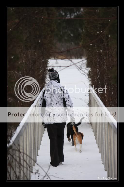 Première sortie dans la neige cette année  _MG_9289_GF_512x768