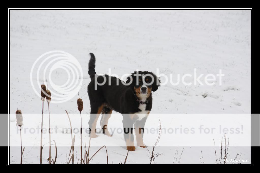 Première sortie dans la neige cette année  _MG_9297_GF_1024x682