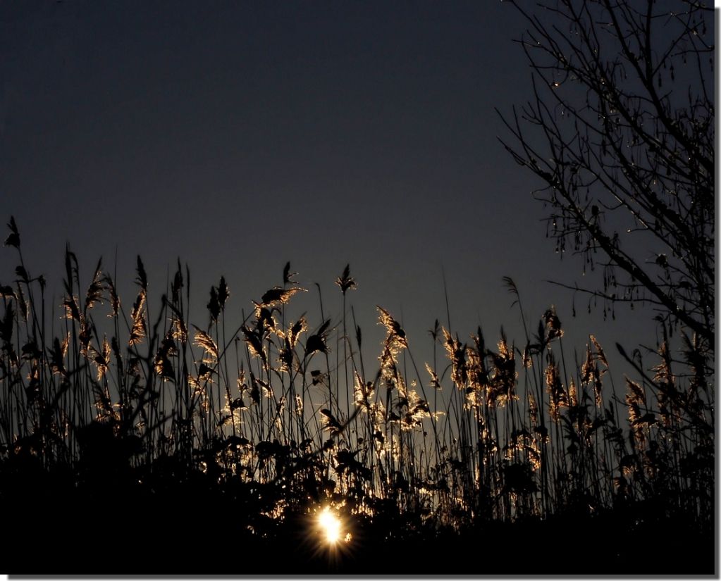 Crépuscule des Cieux FIRE