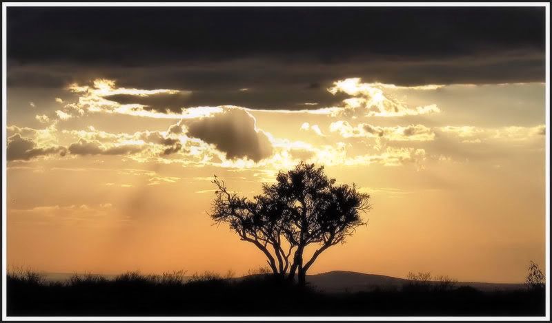 Lumières du Masai Mara KENYASAVANE1