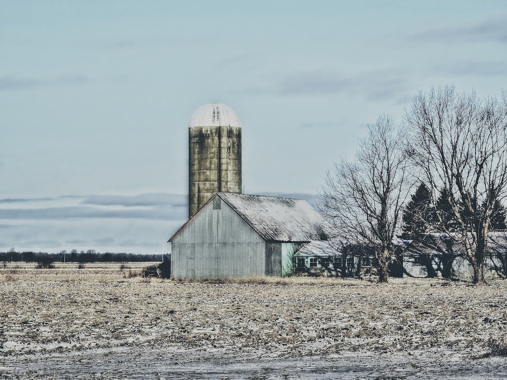 La Ferme UN%20MATIN%20D%20HIVER_zpsc84ft6kh