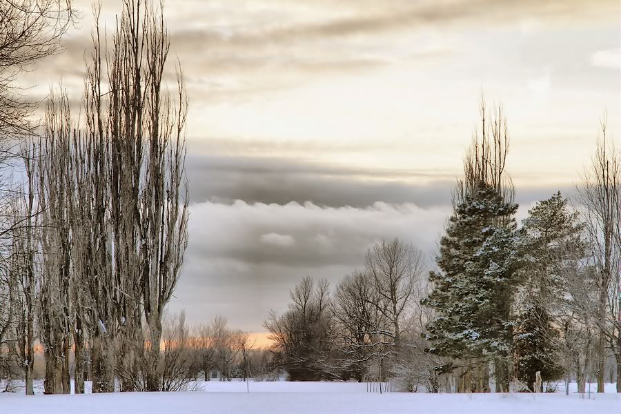 Crépuscule Québécois VERSBELOEIL