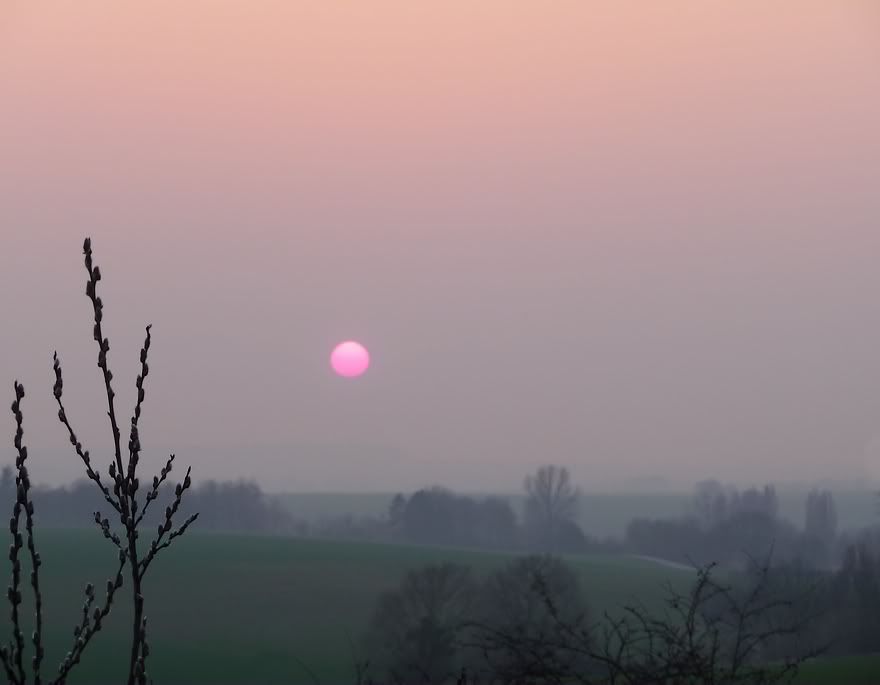 Crépuscule sur la Campagne Yvelinoise WINTERSUNph