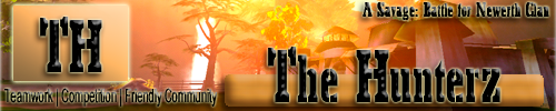 A TH Banner Final02THBanner_09-06-30