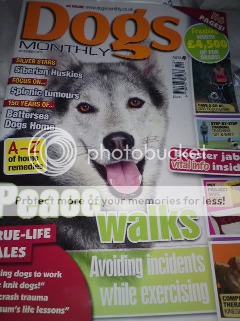 Dogs monthly mag / Blaze's article  DSC01342640x480