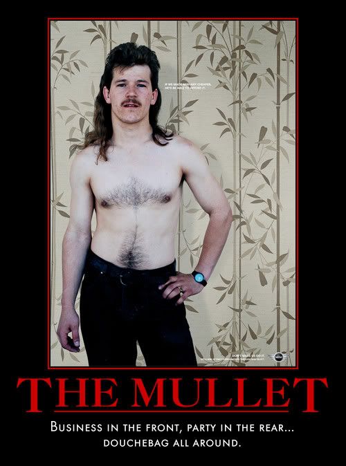 "This" or "That" - Page 4 Mullet