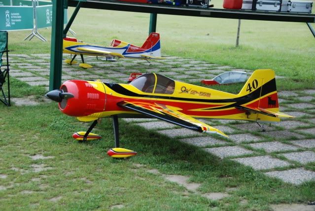 Gasteiz Aerobatics Cup 2010 DSC_0021