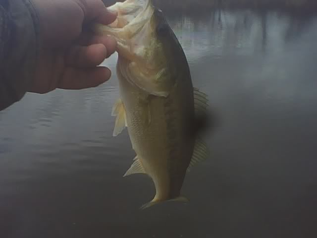 First fish this year! 01-16-10_1553