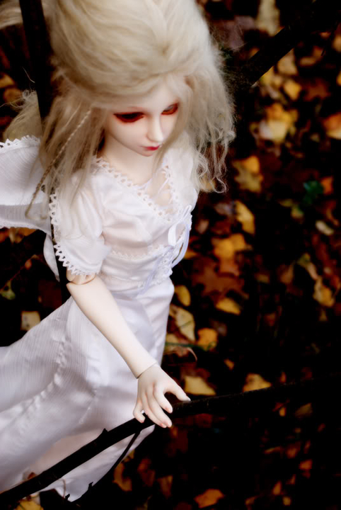 Going with the fall [DIM Girl Event][2 shot] DSC01989