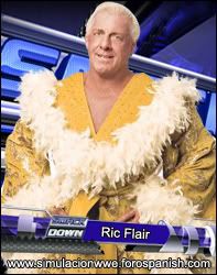 Royal Rumble (31-01-10) Ricflair
