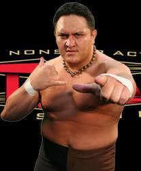 Royal Rumble 2009 ( 1-02-09) Samoajoe