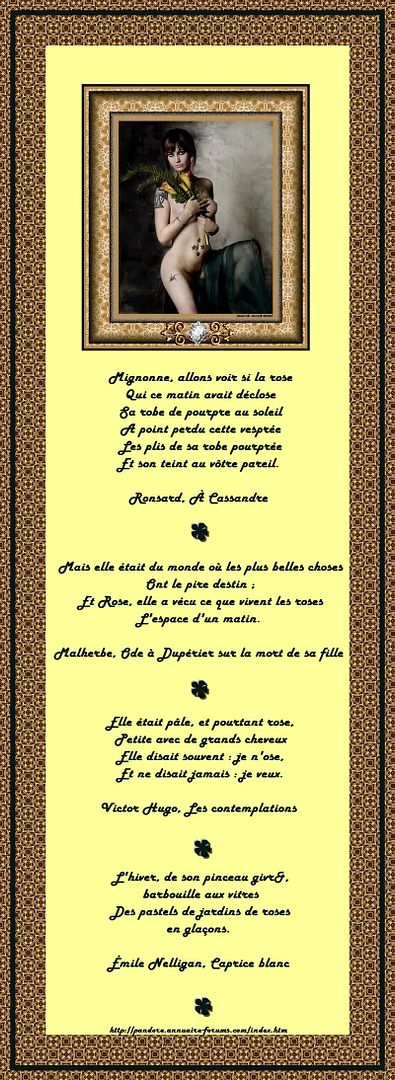 ARCHIVES DE POESIES ET TEXTES N° 1 - Page 4 I_backgroundAaA