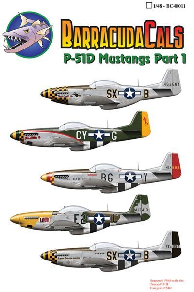 mustang - P 51 D Mustang 8th AF 1/48 Tamiya.  - Page 3 BC48011_zpsb9xyainp