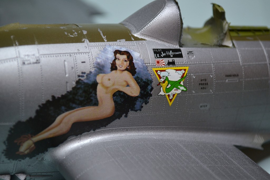 P47 N THUNDERBOLT 1/32 TRUMPETER. - Page 12 DSC_0021_zpsaqbb9yvw