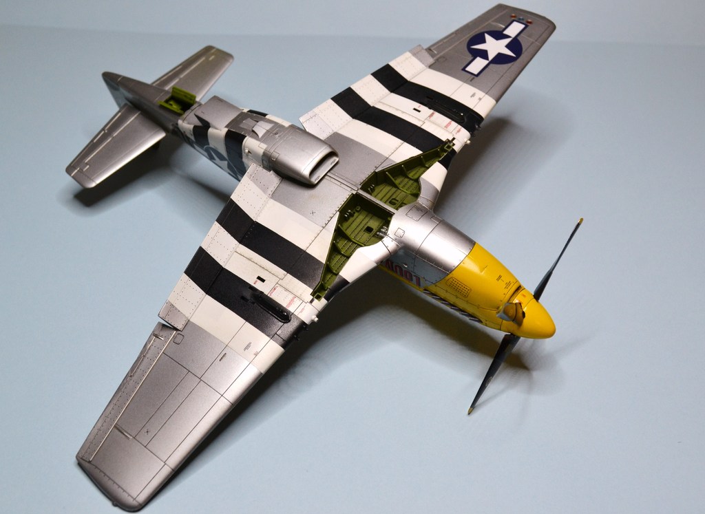 P 51 D Mustang 8th AF 1/48 Tamiya.  - Page 6 DSC_0162_zpsecpsr58h