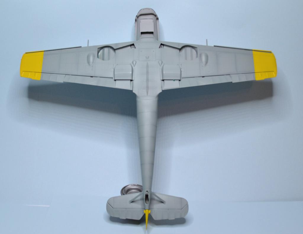 Me BF 109 E 1/32 TRUMPETER  - Page 3 DSC_0172_zpsa2c2a754