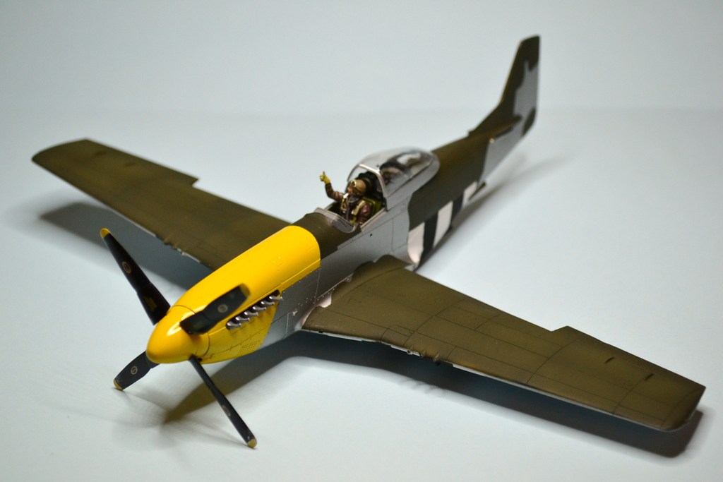 P 51 D Mustang 8th AF 1/48 Tamiya.  - Page 5 DSC_0202_zpsodfsmzoi