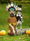 Some cute thanksgiving pics!! A9c692f9