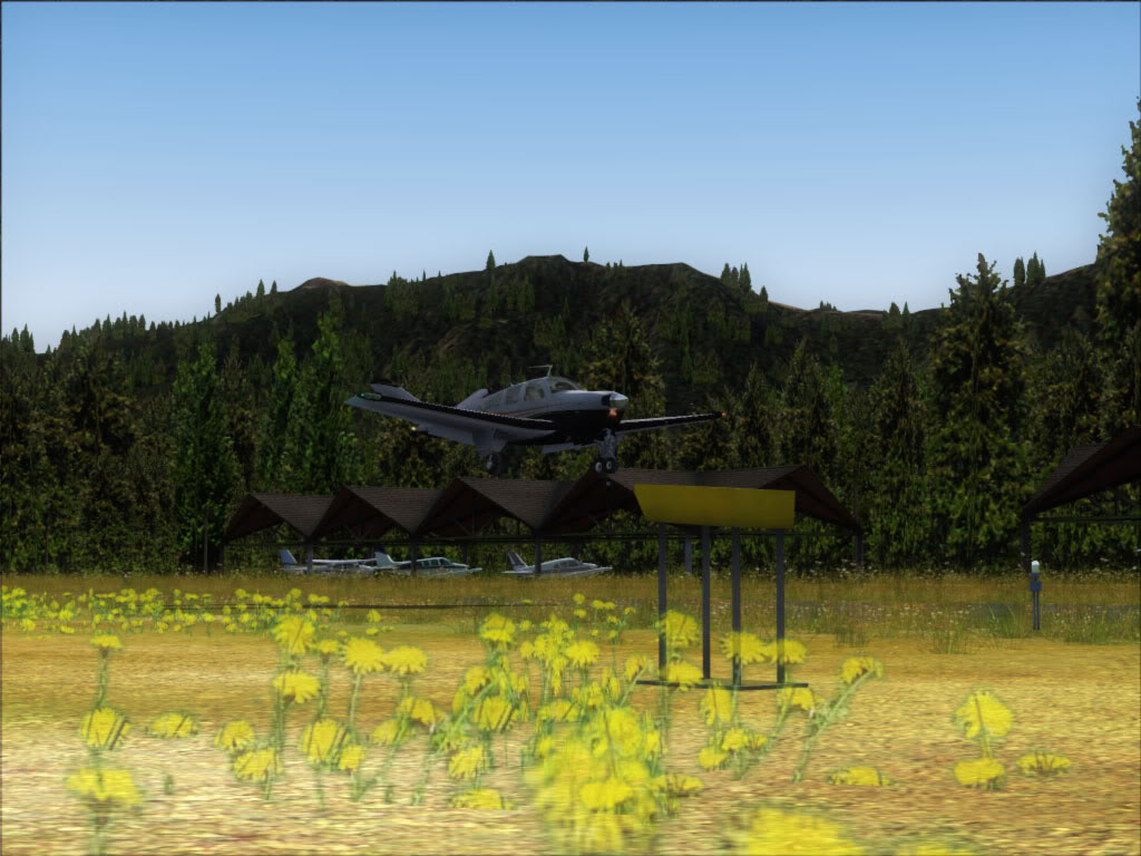 [FSX] Orcas I to Cushman Meadows  2011-7-25_12-25-56-830