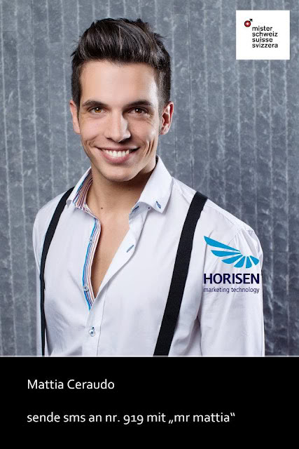 Mister Schweiz 2012 - Winners S12