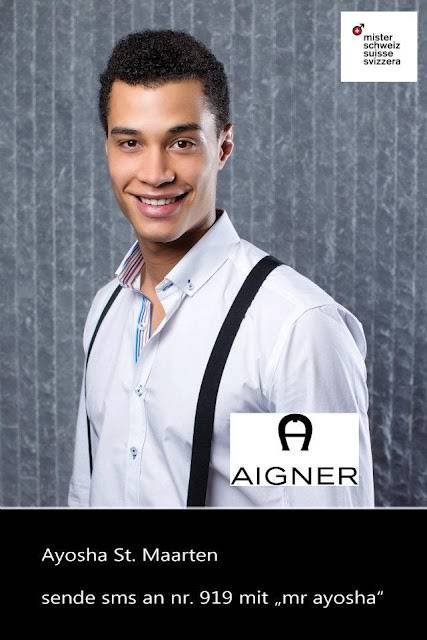 Mister Schweiz 2012 - Winners S8