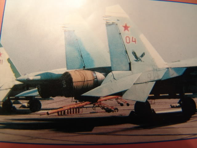 [TRUMPETER] Sukhoi Su27 Flanker B  1/32 - Page 2 DSC03081