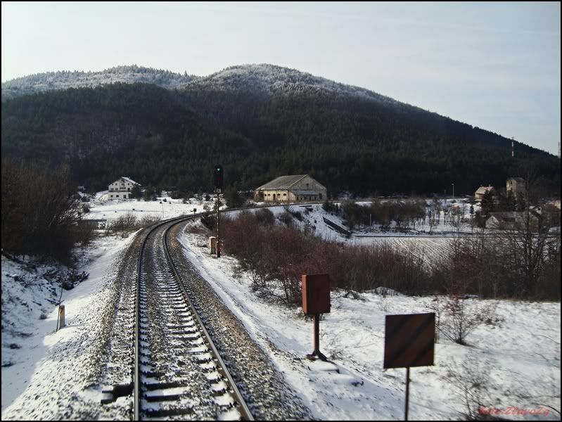 Likom prugom-9,5 godina kasnije DSC09972