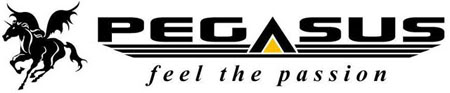 PEGASUS CAR AUDIO SYSTEM *Feel The Passion * Pglogo