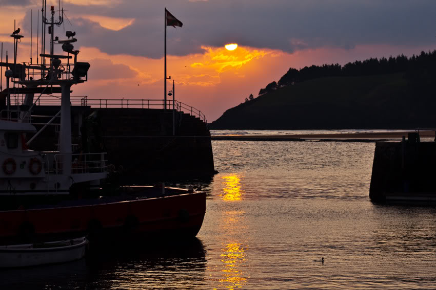 Goizalde gorriak _MG_0256