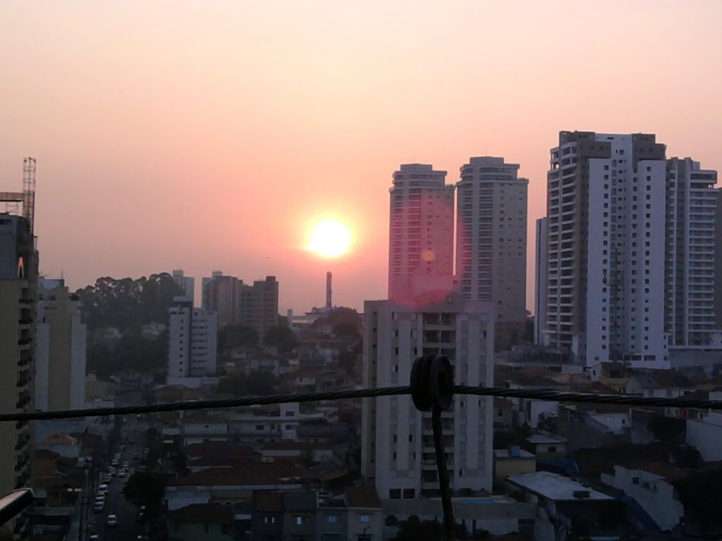 Imagens daoras da vida à 50 metros de altura. XDD Foto0490