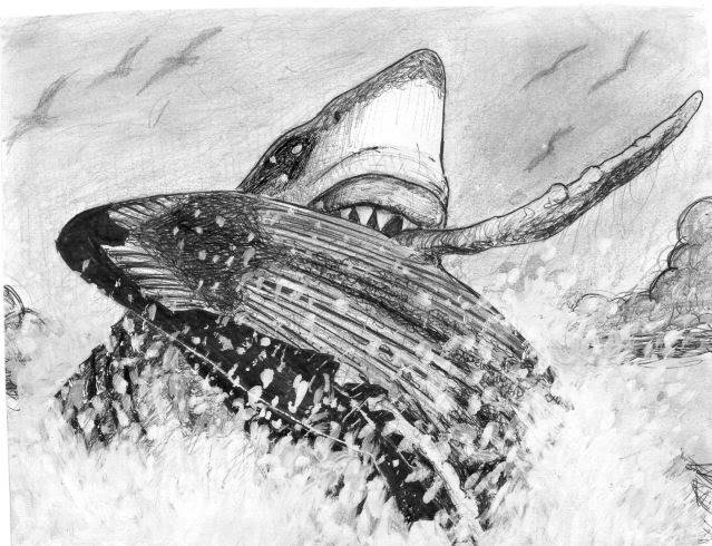 DIBUJO - Ataque de Carcharocles megalodon Img001