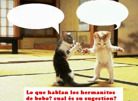 Lo que Hablan los Hermanitos de Bobo? Lol7qk