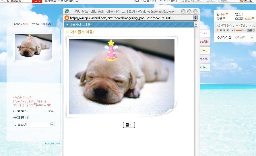 [Cyworld] từ ngày 01.07.2010 -09.01.2011 8ad97550