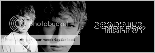 Calli's Creations Scorpiusbanner2