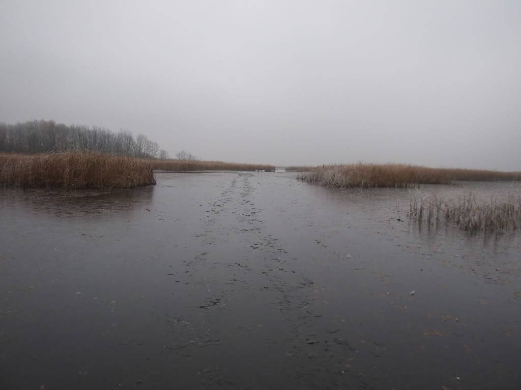 Jezero Joca „THE PIKERASSIC PARK” of SERBIA Picture083