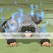 Naruto-Wars GFX Shop - No recruiting Kiba4legs