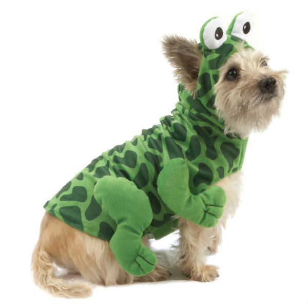 Halloween costumes PPETS-12598907dt