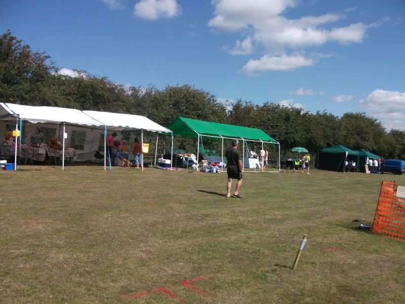 Harv at the dog show DSCF2713