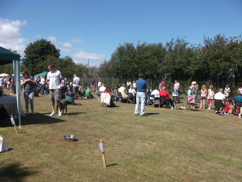 Harv at the dog show DSCF2714